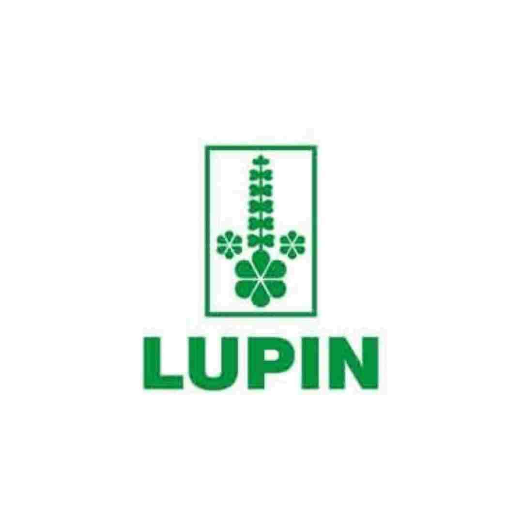 Lupin